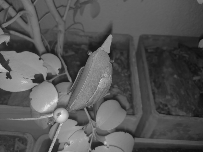 Ulefone Armor 34 Pro - Originalaufnahmen