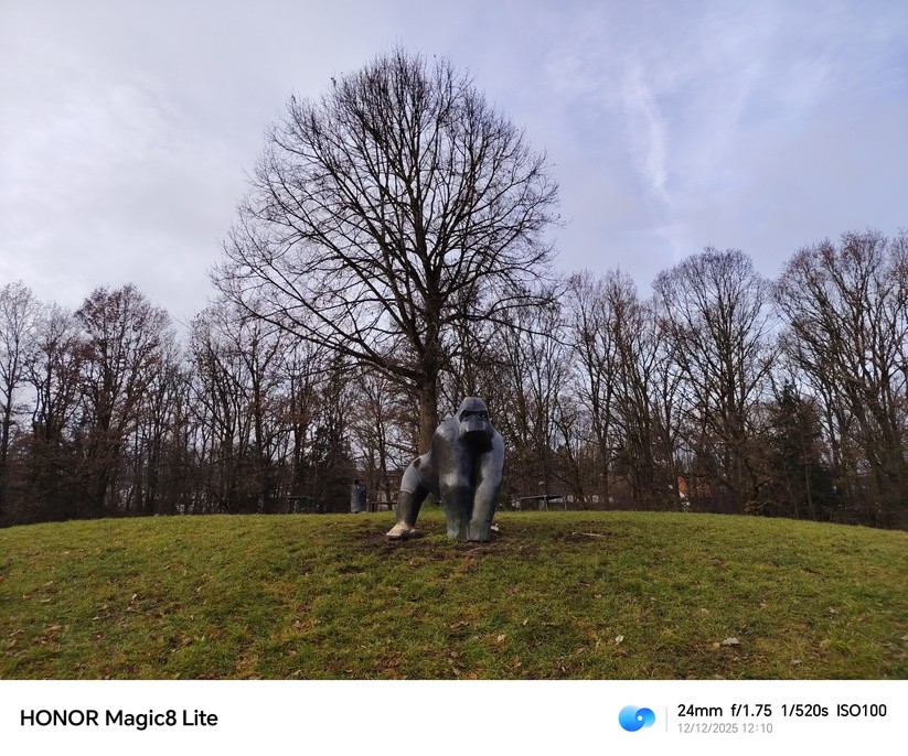 Honor Magic 8 Lite - Originalaufnahmen