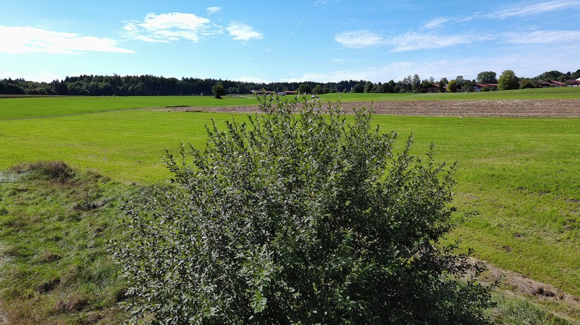 Autel Evo Nano Plus - Beispielfoto