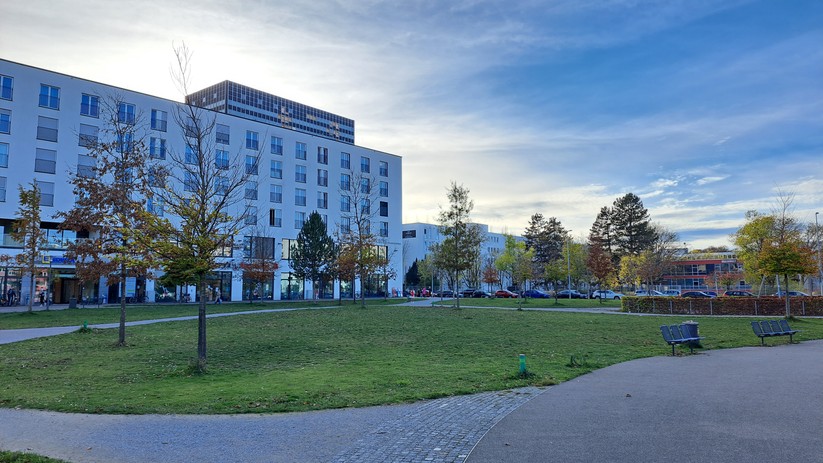 Samsung Galaxy A53 - Originalaufnahmen 