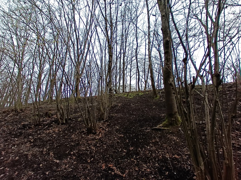 Gigaset GX4 - Originalaufnahmen