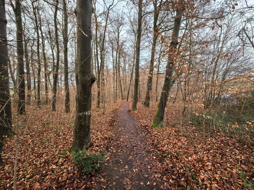 Huawei Pura 80 Ultra – Originalaufnahmen