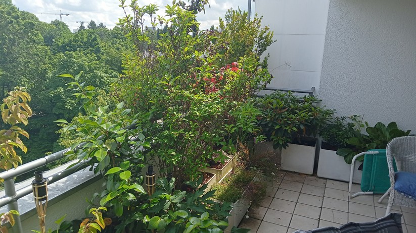 Fotos des Nokia G10