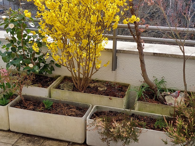 Mit dem Samsung Galaxy A52 geschossene Fotos