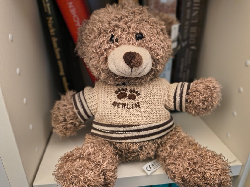 Motorola Razr 60 - Originalaufnahmen