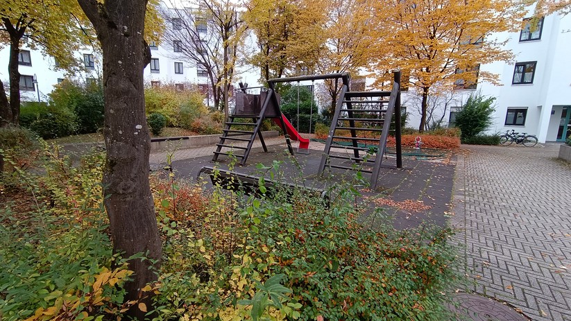 Fotos mit dem Vivo Y72 5G