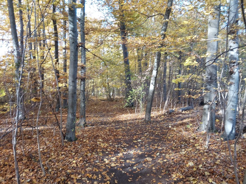 Samsung Galaxy Xcover 7 Pro – Originalaufnahmen