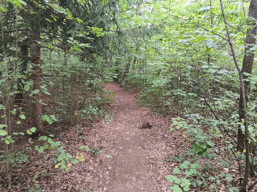 Ulefone Armor 34 Pro - Originalaufnahmen