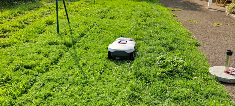 Anthbot Genie 3000 im Test: RTK-Mähroboter mit vier Kameras und großem Akku