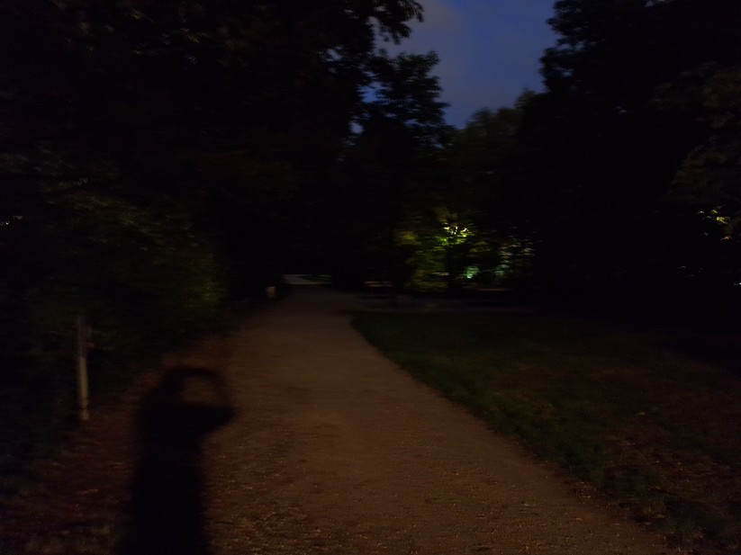 Samsung Galaxy A54 - Originalaufnahmen 