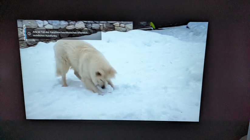 Formovie Xming Episode One Screenshot