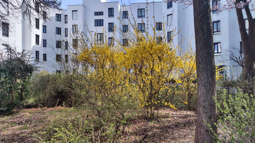 Motorola Edge 30 Pro - Originalaufnahmen