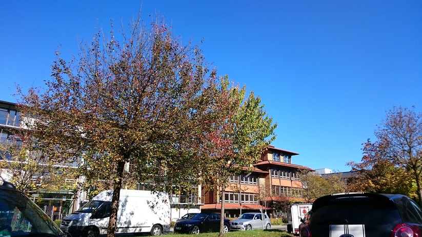 Sony Xperia Z3 compact – Testfoto