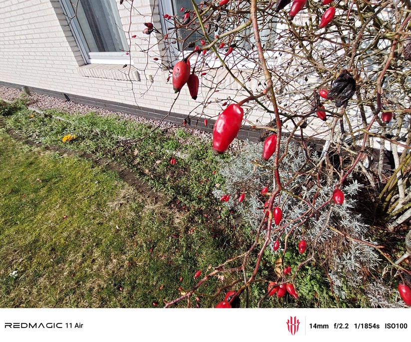 Testfoto – Redmagic 11 Air 