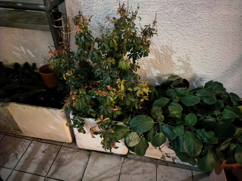 Huawei Mate X6 - Originalaufnahmen