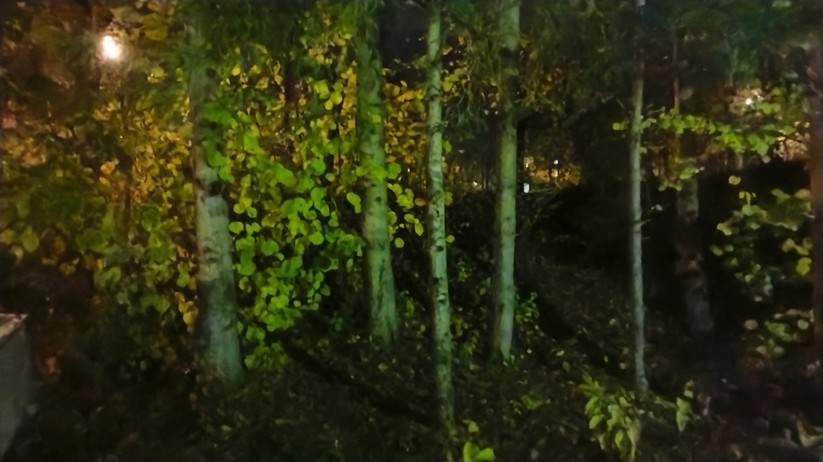 Nokia G60 5G - Originalaufnahmen