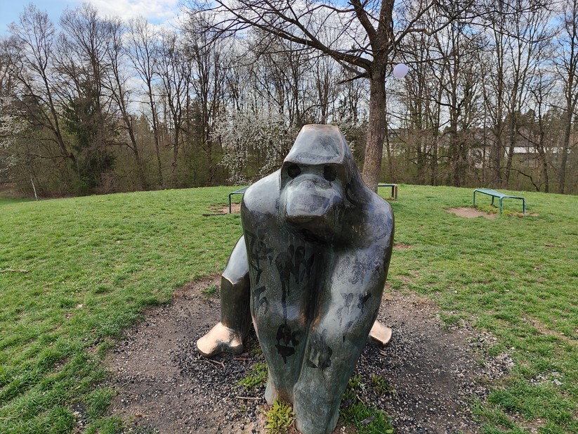 Realme GT 2 Pro - Originalaufnahmen 