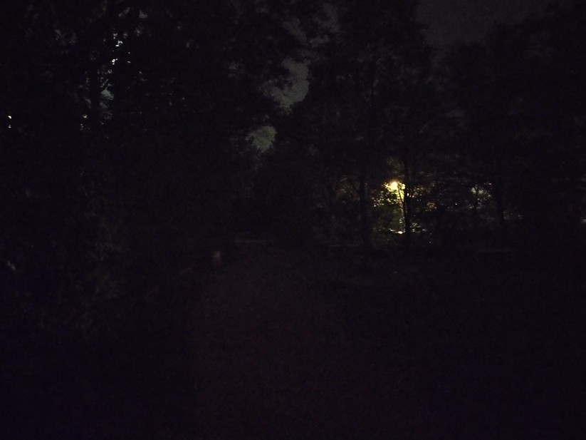 Nokia XR 21 - Originalaufnahmen 