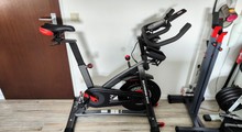 Schwinn 800IC