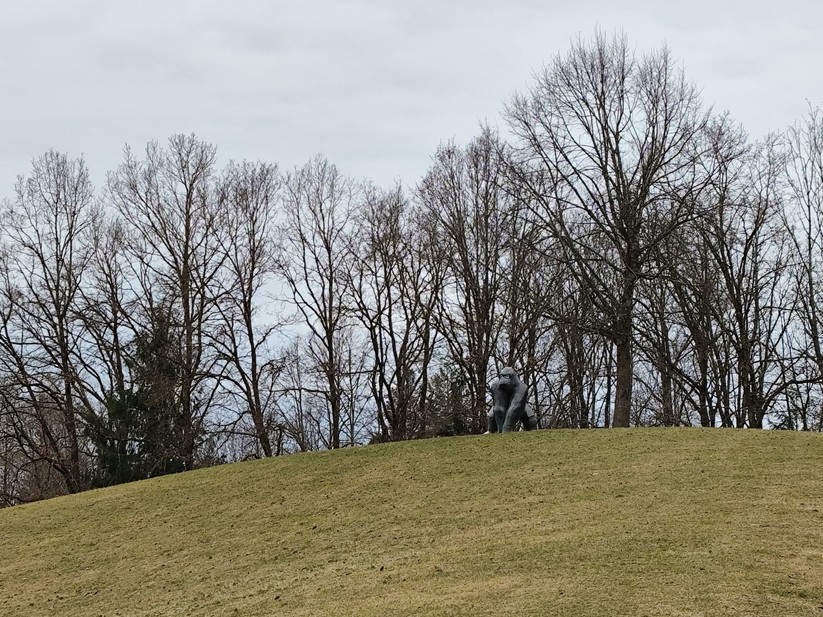 Xiaomi Poco X6 - Originalaufnahmen