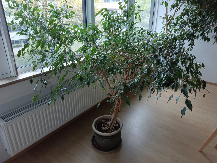 Alldocube iPlay 50 Mini Pro 