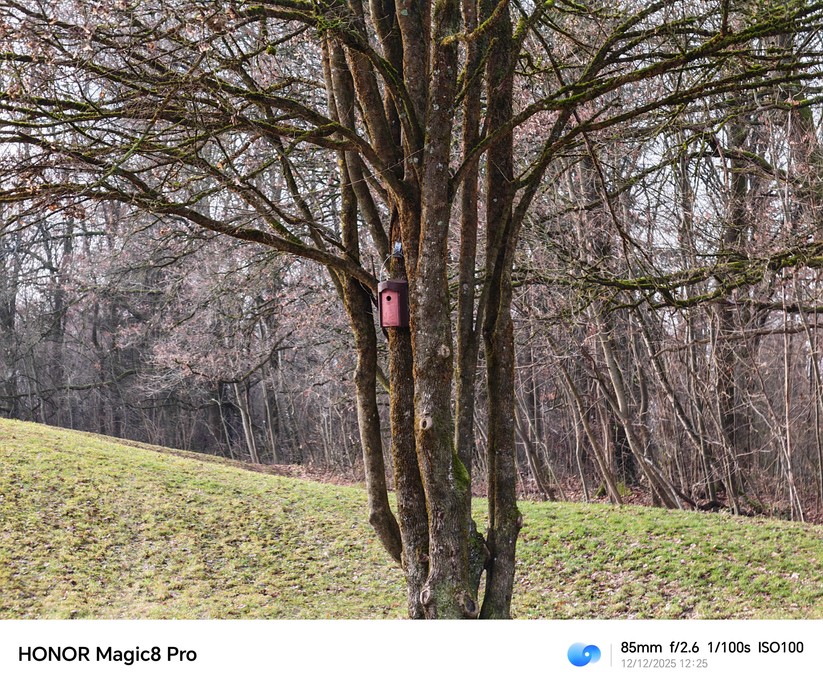 Honor Magic 8 Pro - Originalaufnahmen 