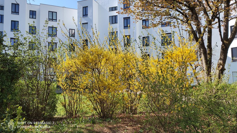 Nubia RedMagic 7 - Originalaufnahmen 