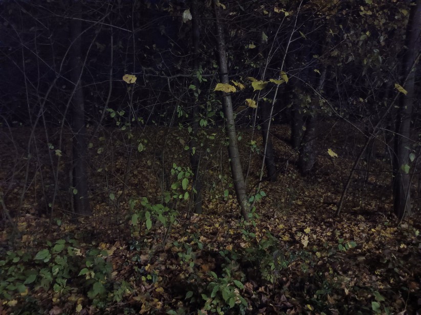 Oukitel WP60 - Originalaufnahmen 