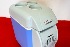 Lescars Thermoelektrische Kühlbox im Test: für eine Person  & mit Getränkehalter