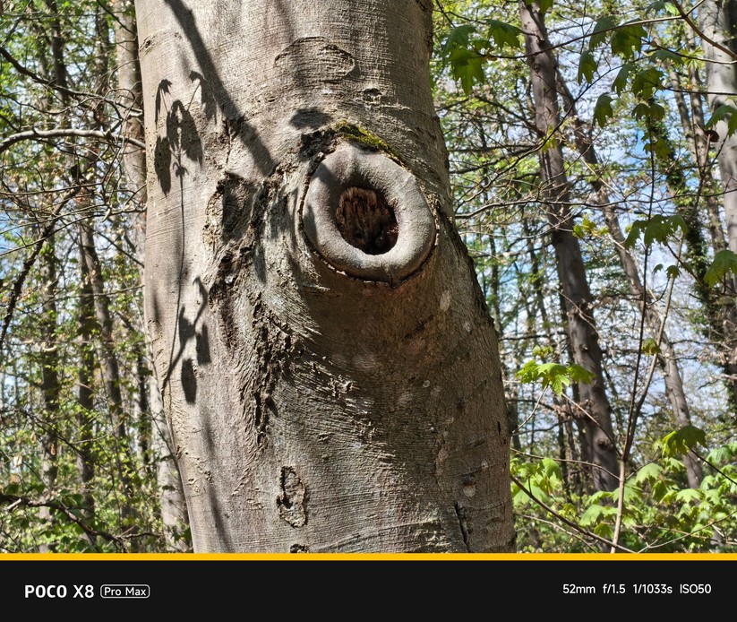 Xiaomi Poco X8 Pro Max: Hauptkamera mit 2x Zoom (digital)