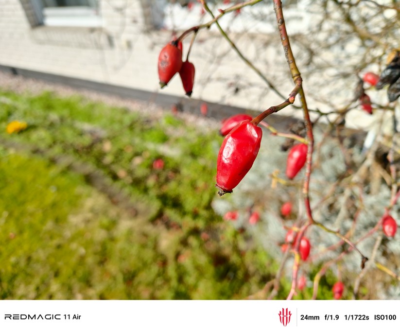 Testfoto – Redmagic 11 Air 