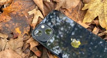 Tarife Herbst