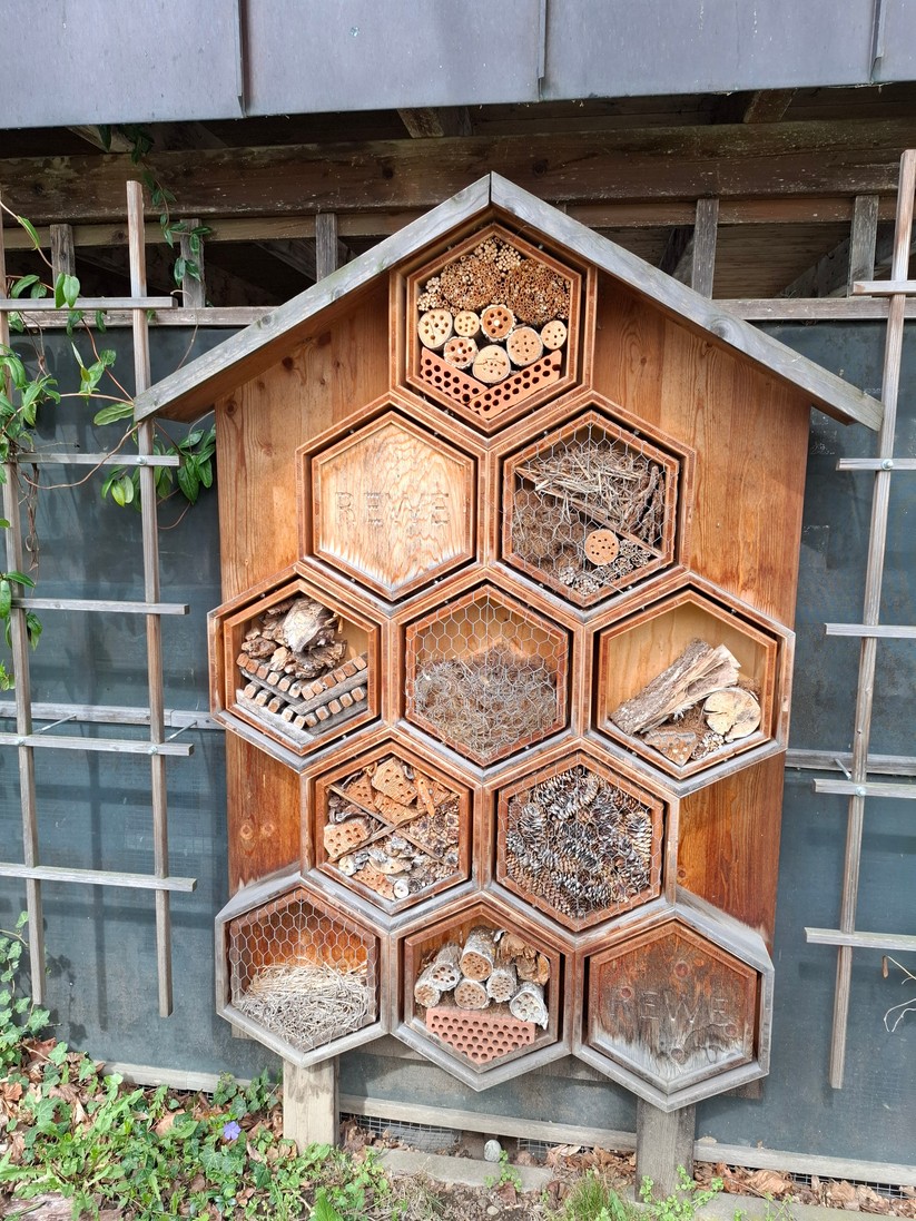 Samsung Galaxy A55 – Originalaufnahmen