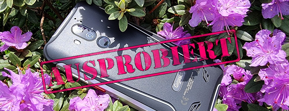 HOM-Gigaset-GX290-Plus