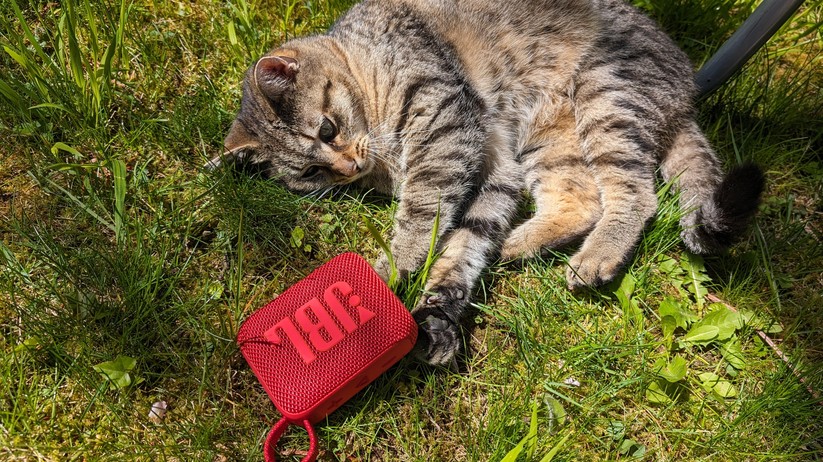 JBL Go 4