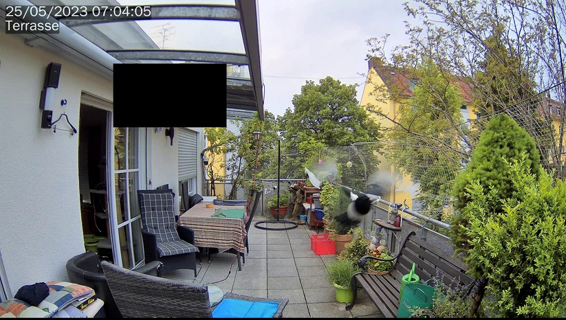 Synology BC500: Beispielbilder Vogel
