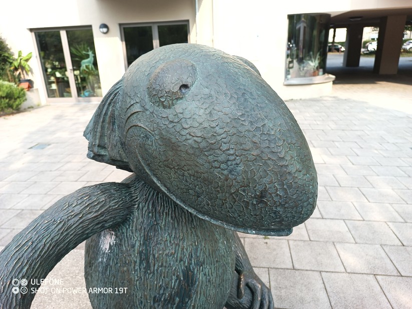 Ulefone Power Armor 19T - Originalaufnahmen