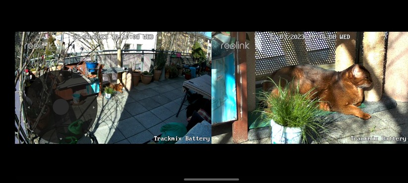 Andere Modelle verwenden das zweite Objektiv für die gleichzeitige Ansicht von Gesamtbild und Vergrößerung.