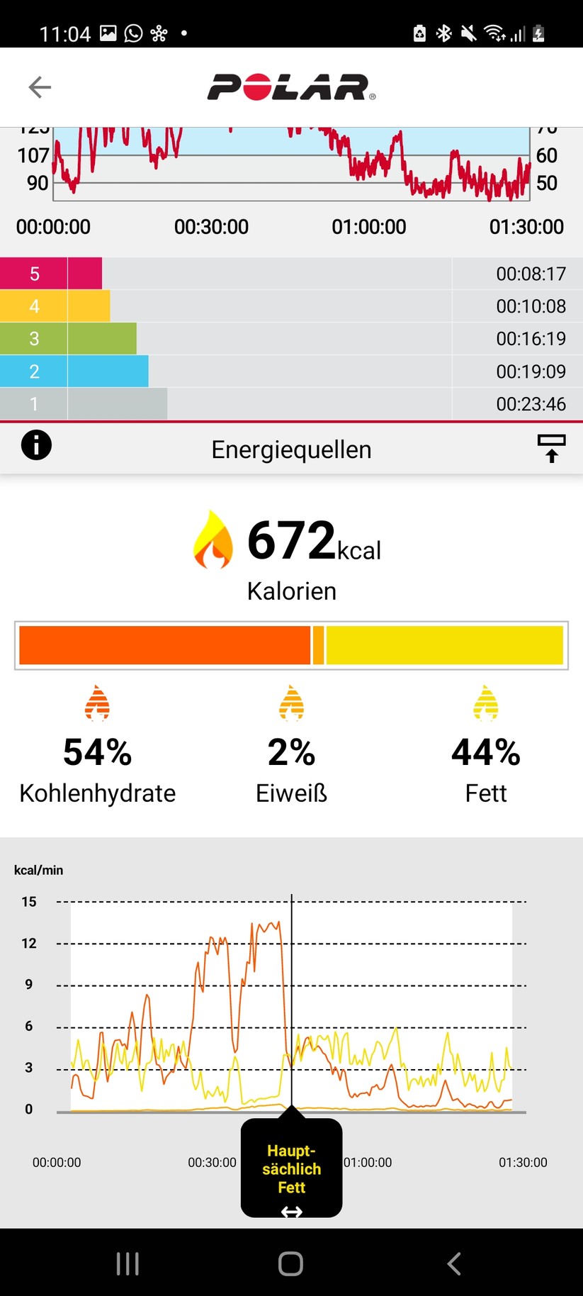 Polar Ignite 2 - Polar Flow App