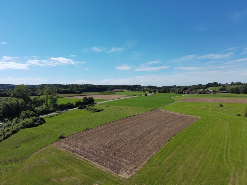 Autel Evo Nano Plus - Beispielfoto