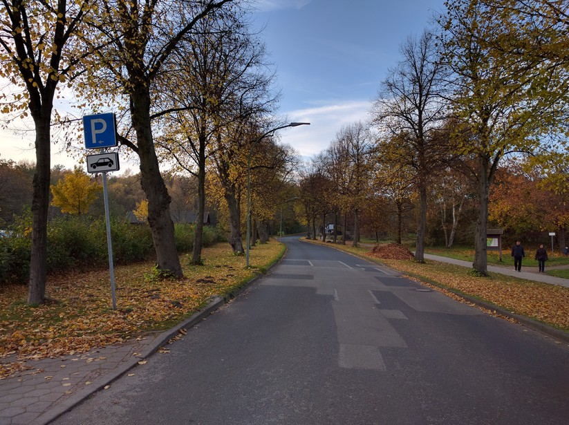 Google Nexus 5X (day light)