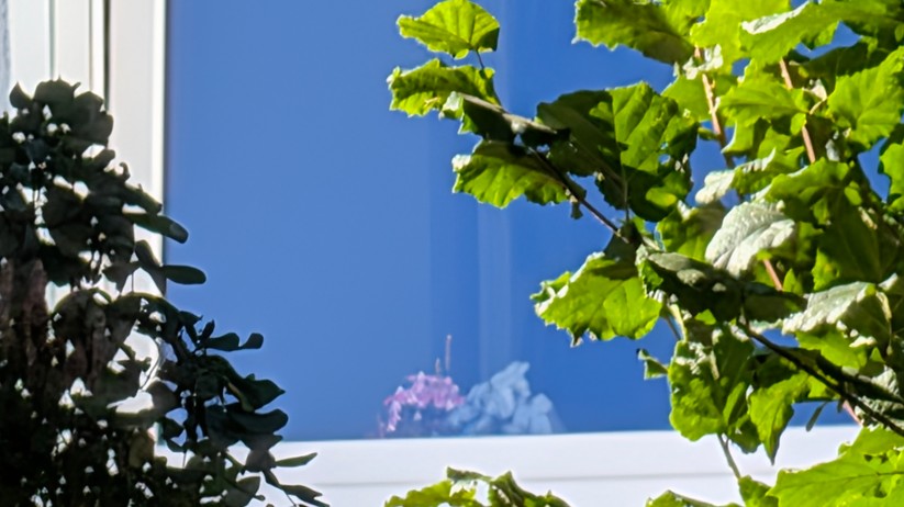 Google Pixel 10 Fotos