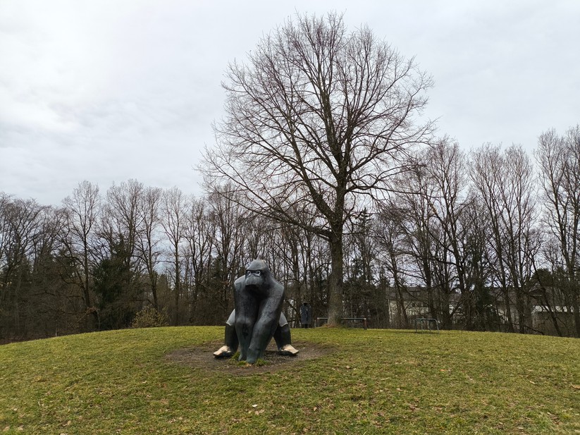 Xiaomi Poco X6 Pro - Originalaufnahmen