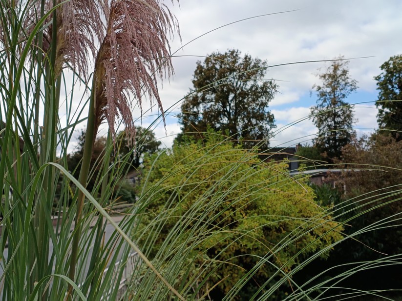 Motorola Moto G56 5G – Originalaufnahmen