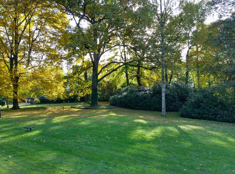 Kamerabilder: HTC One A9 (day light)