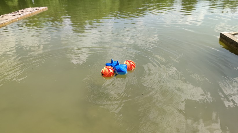 RC Stunt und Fun Cars 