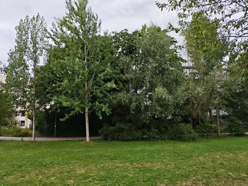 Xiaomi Poco F7 - Originalaufnahmen 