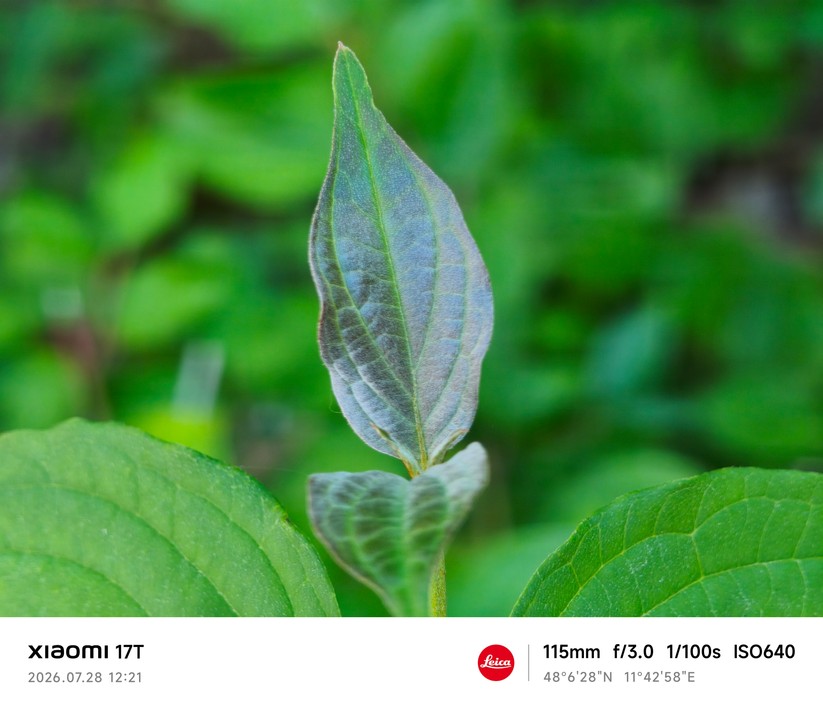 Xiaomi 17T: Makromodus mit Telelinse (5x Zoom)