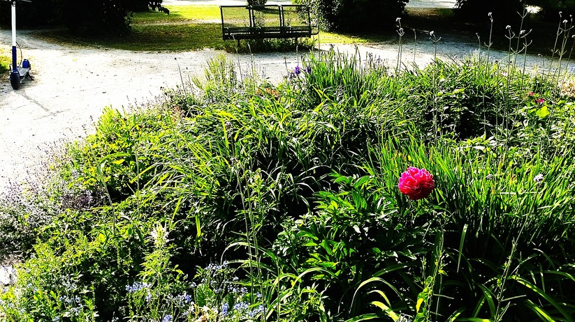 Fotos des Sony Xperia 10 III