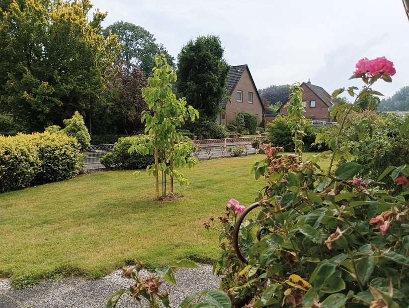 Xiaomi Redmi Note 11S 5G